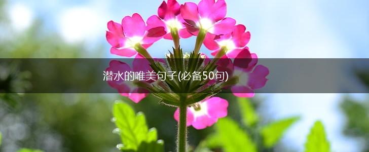 潜水的唯美句子(必备50句),第1张