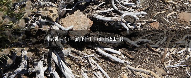 特别污有内涵的句子(必备51句),第1张