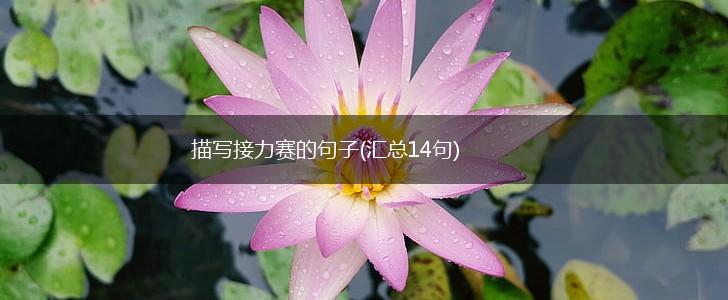 描写接力赛的句子(汇总14句),第1张