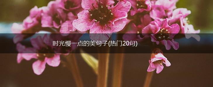 时光慢一点的美句子(热门20句),第1张