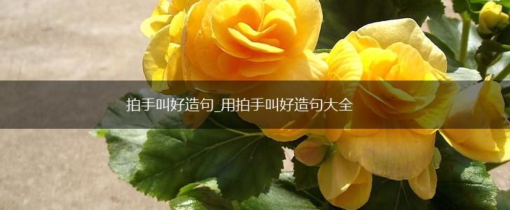 拍手叫好造句_用拍手叫好造句大全,第1张