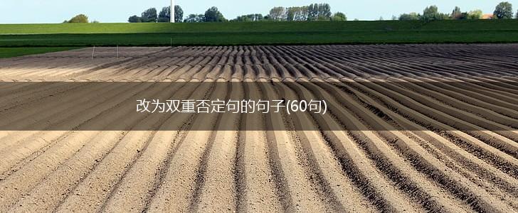 改为双重否定句的句子(60句),第1张