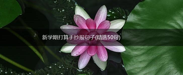 新学期打算手抄报句子(精选50句),第1张