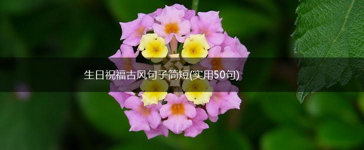 生日祝福古风句子简短(实用50句),第1张
