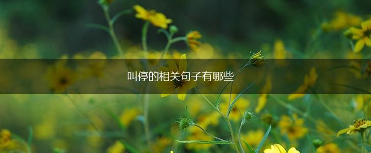 叫停的相关句子有哪些,第1张
