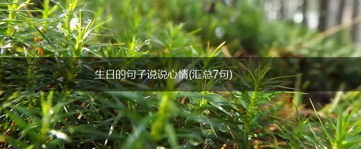 生日的句子说说心情(汇总7句),第1张