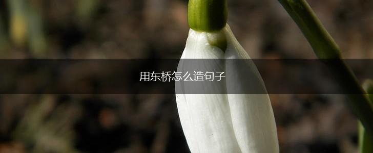 用东桥怎么造句子,第1张