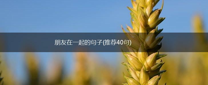 朋友在一起的句子(推荐40句),第1张