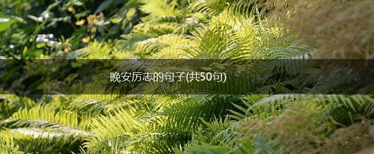 晚安厉志的句子(共50句),第1张