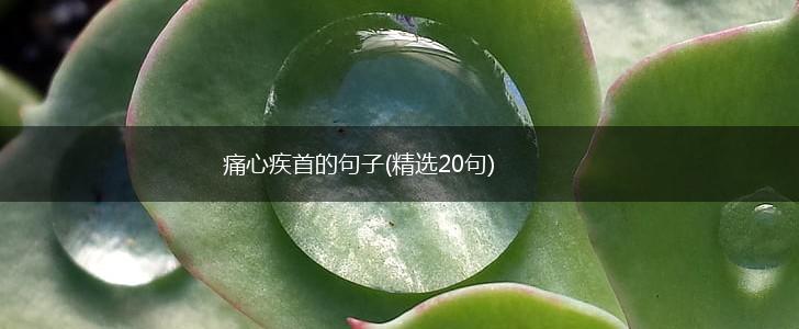 痛心疾首的句子(精选20句),第1张