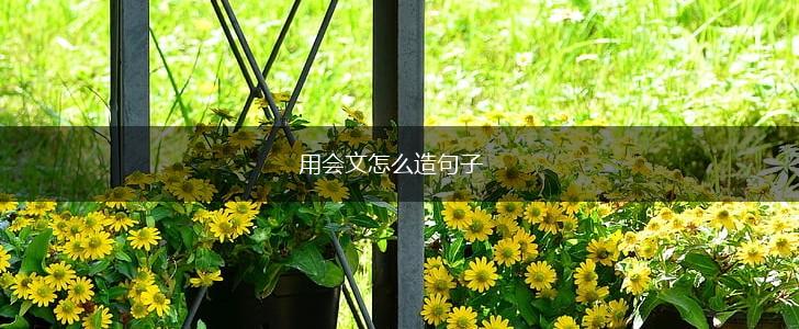 用会文怎么造句子,第1张