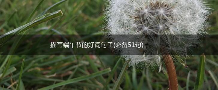 描写端午节的好词句子(必备51句),第1张