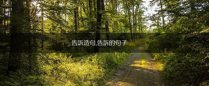 告訴造句,告訴的句子,第1张