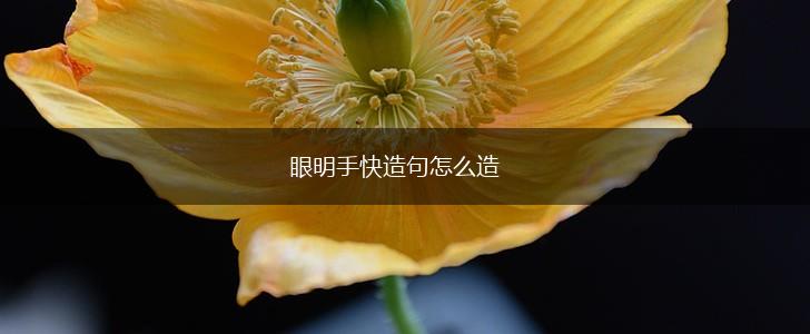 眼明手快造句怎么造,第1张