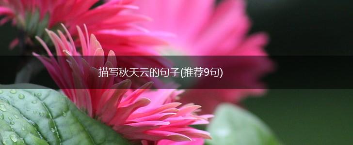 描写秋天云的句子(推荐9句),第1张