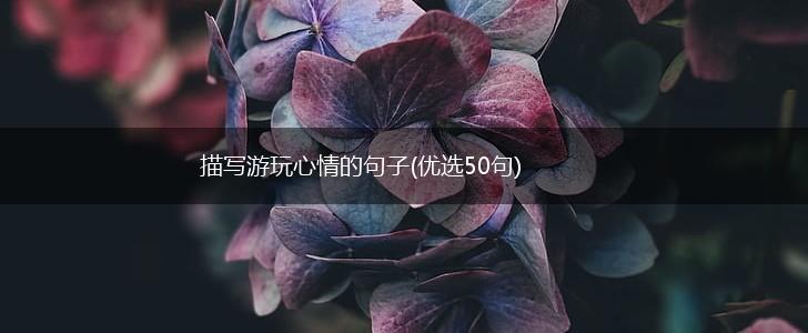 描写游玩心情的句子(优选50句),第1张
