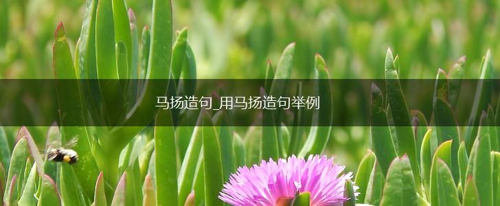 马扬造句_用马扬造句举例,第1张