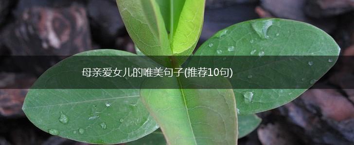 母亲爱女儿的唯美句子(推荐10句),第1张