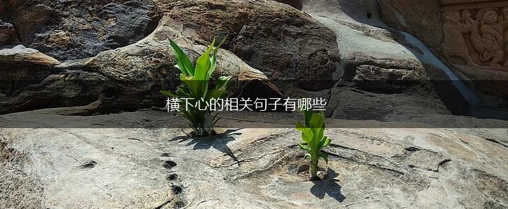 横下心的相关句子有哪些,第1张