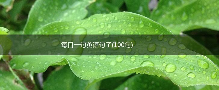 每日一句英语句子(100句),第1张