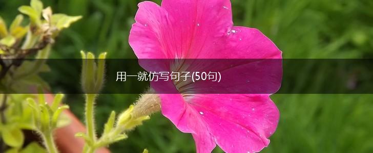 用一就仿写句子(50句),第1张