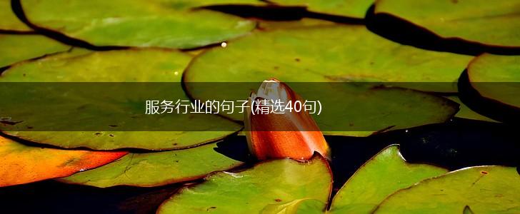 服务行业的句子(精选40句),第1张