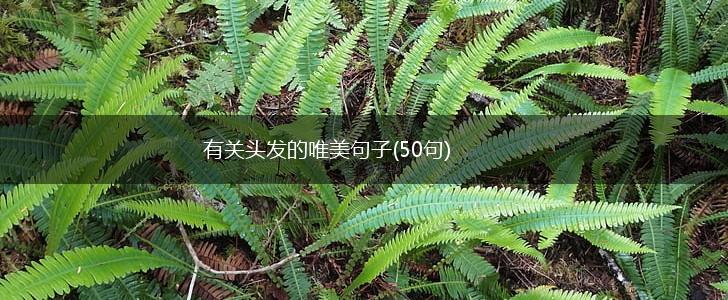 有关头发的唯美句子(50句),第1张