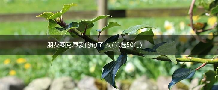 朋友圈秀恩爱的句子 女(优选50句),第1张
