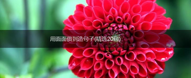 用面面俱到造句子(精选20句),第1张