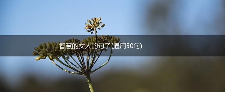 智慧的女人的句子(通用50句),第1张