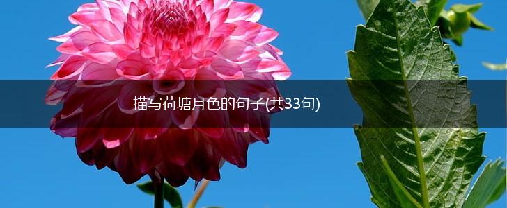 描写荷塘月色的句子(共33句),第1张