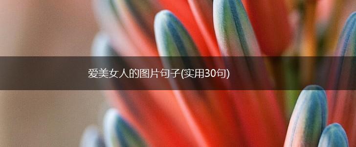 爱美女人的图片句子(实用30句),第1张
