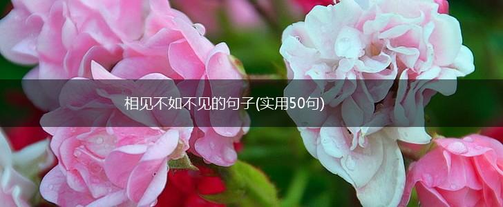 相见不如不见的句子(实用50句),第1张