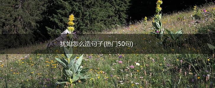 犹如怎么造句子(热门50句),第1张