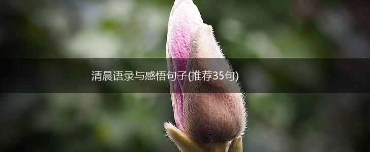 清晨语录与感悟句子(推荐35句),第1张