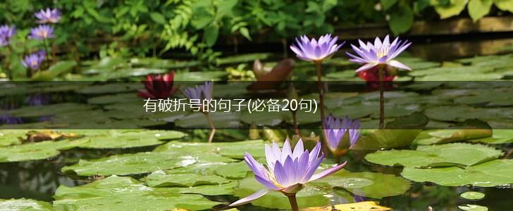 有破折号的句子(必备20句),第1张