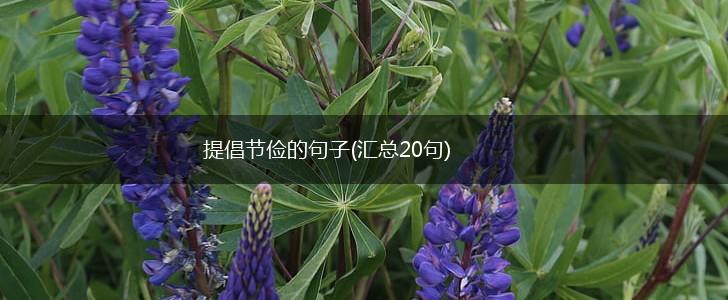 提倡节俭的句子(汇总20句),第1张