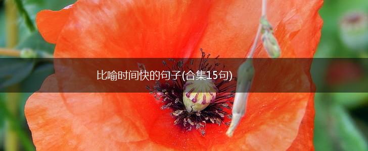 比喻时间快的句子(合集15句),第1张