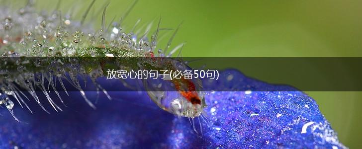 放宽心的句子(必备50句),第1张