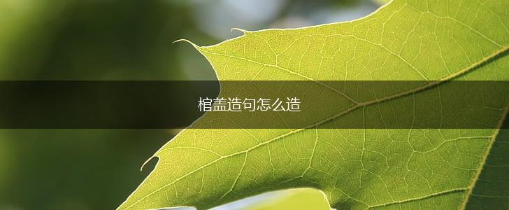 棺盖造句怎么造,第1张