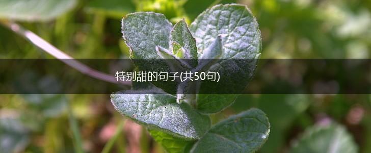 特别甜的句子(共50句),第1张