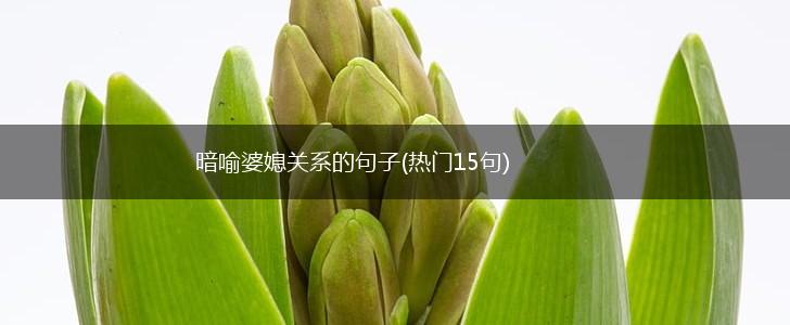 暗喻婆媳关系的句子(热门15句),第1张