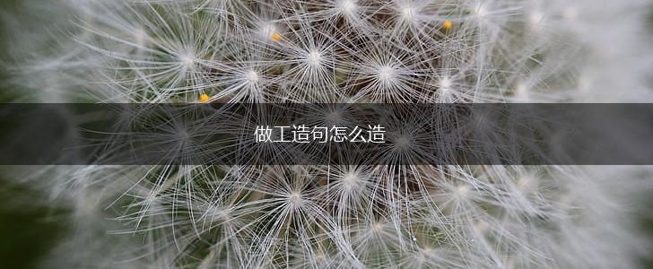 做工造句怎么造,第1张