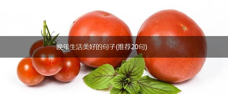 晚年生活美好的句子(推荐20句),第1张