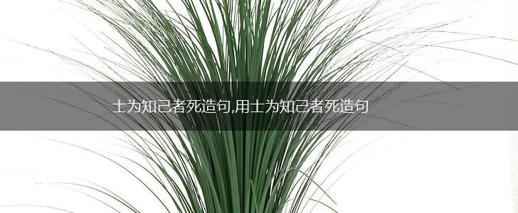 士为知己者死造句,用士为知己者死造句,第1张