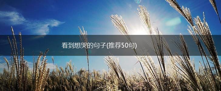 看到想哭的句子(推荐50句),第1张