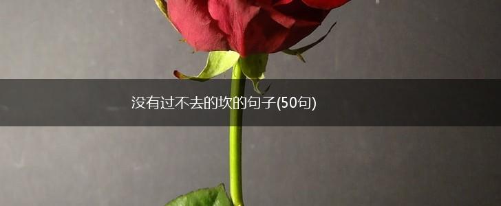 没有过不去的坎的句子(50句),第1张
