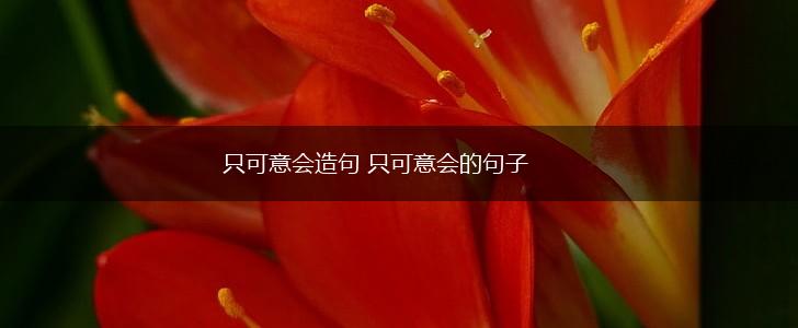 只可意会造句 只可意会的句子,第1张