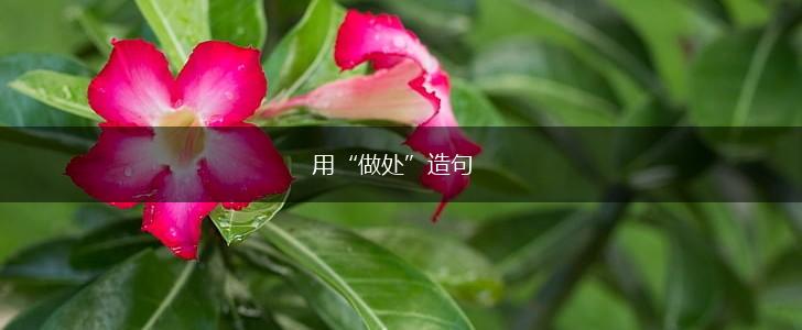 用“做处”造句,第1张