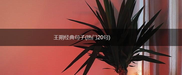 王朔经典句子(热门20句),第1张